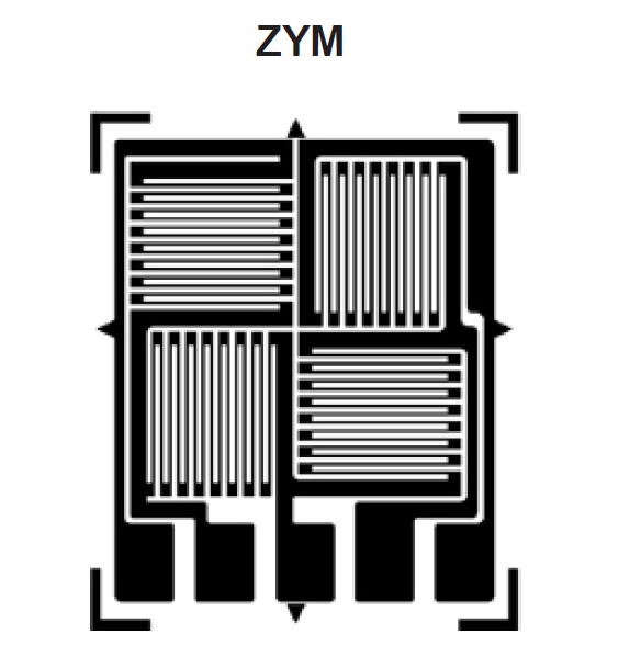 ZEMIC ZYM FULL BRIDGE GAGE