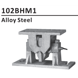 ANYLOAD 102BHM1 Weighing Module(65058-TSA 대체품)