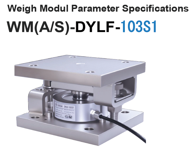 WM(A/S)-DYLF-103S1 Weighing Module