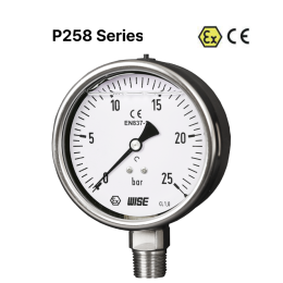 WISE P258 유로 게이지 액체 충전식 산업용 방폭 압력 게이지 : 부르동 tube type